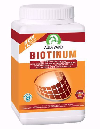 Bild von Biotinum 900g (Audevard)